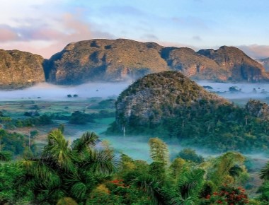 The Role of the Cuban Cigar in Cuban Heritage and Identity