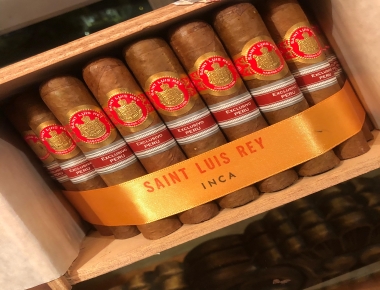 Inside the World of Saint Luis Rey